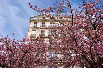 Guide du 15ème – Paris 15 – Que faire, où manger, où sortir ?
