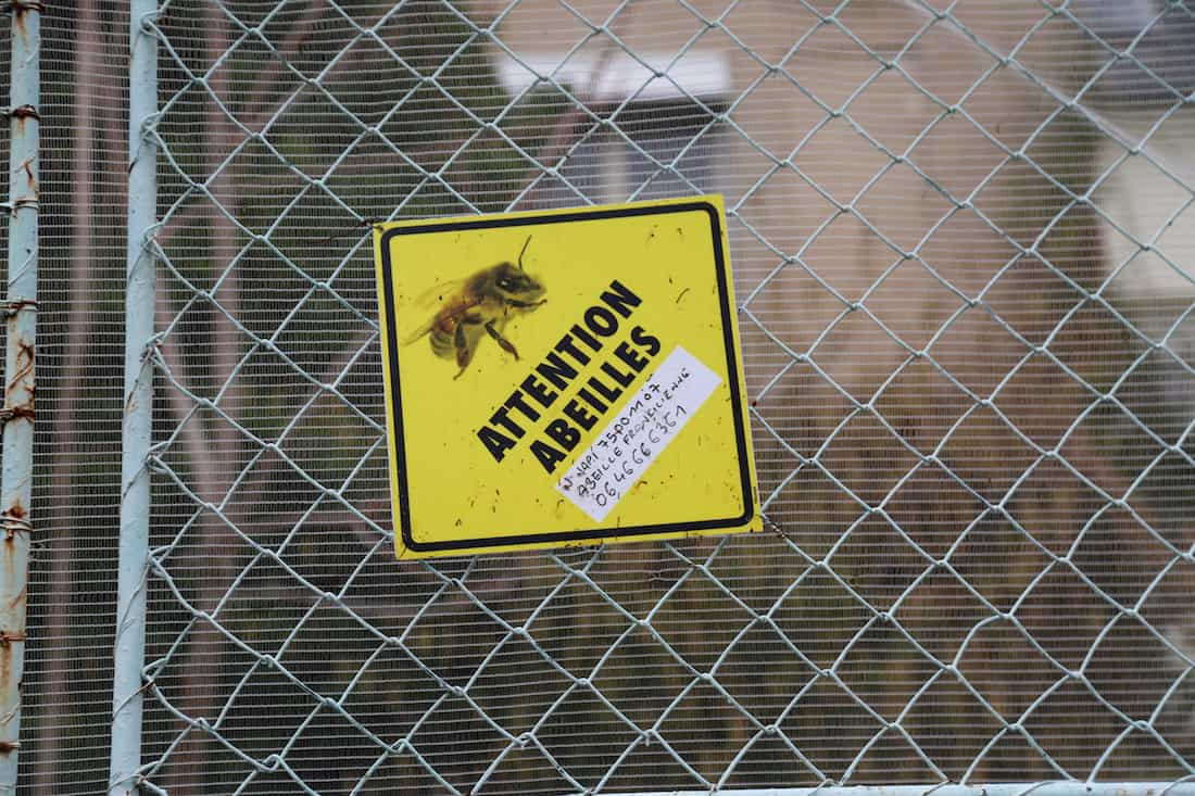 les-grands-voisins-hopital-saint-vincent-de-paul-abeilles