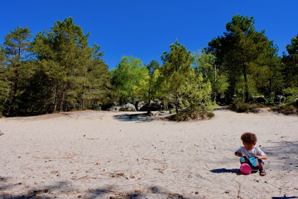 fontainebleau-cul-de-chien-sable