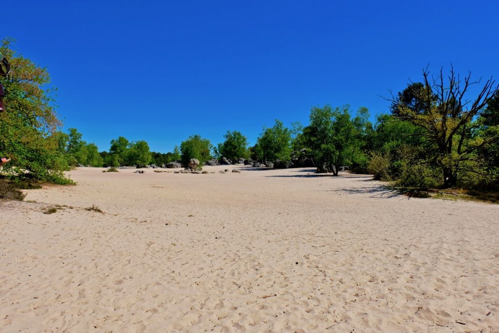 foret-fontainebleau-cul-de-chien-sable-plage-chemin