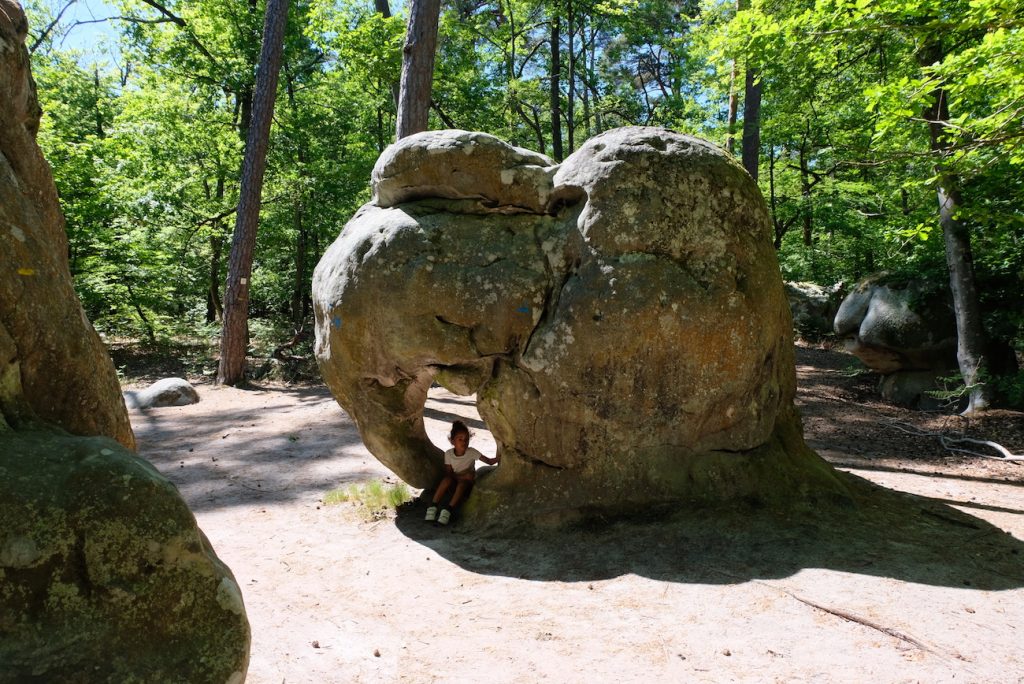 promenade-balade-ile-de-france-foret-fontainebleau