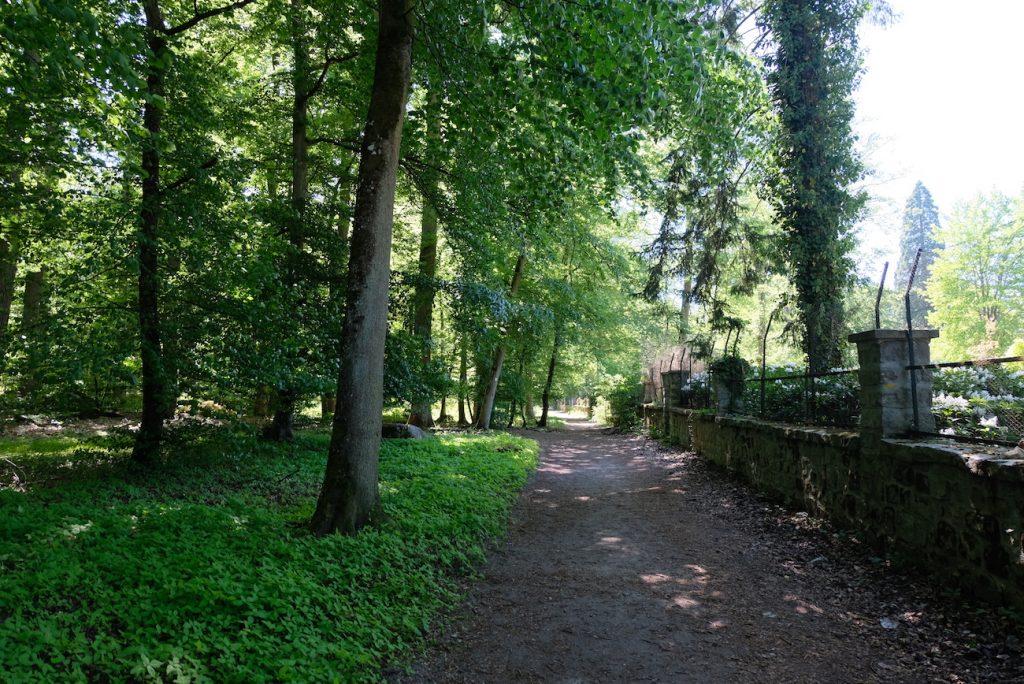 promenade-balade-ile-de-france-foret-fontainebleau