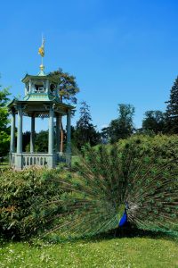 jardin-bagatelle-paris-16em-bois-de-boulogne-beau-jardin-parc