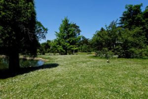 jardin-bagatelle-paris-16eme-bois-de-boulogne-beau-jardin-parc