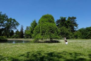 jardin-bagatelle-paris16-bois-de-boulogne-beau-jardin-parc