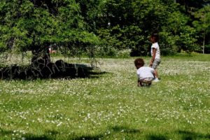 jardin-bagatelle-paris16e-bois-de-boulogne-beau-jardin-parc