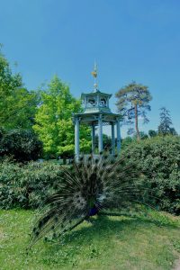 jardin-bagatelle-paris16e-boulogne-beau-jardin-parc