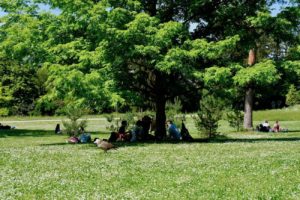 jardin-bagatelle-paris16em-bois-de-boulogne-beau-jardin-parc