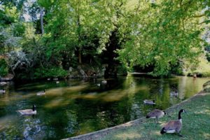 jardin-de-bagatelle-paris-16e-bois-de-boulogne-beau-jardin-parc-neuilly