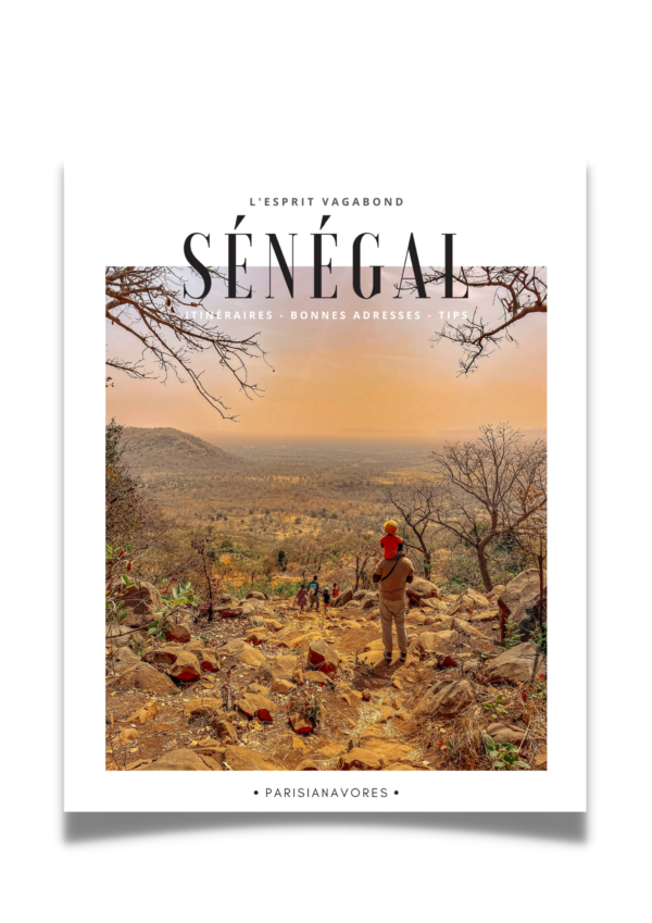 guide-senegal-voyage-itineraire