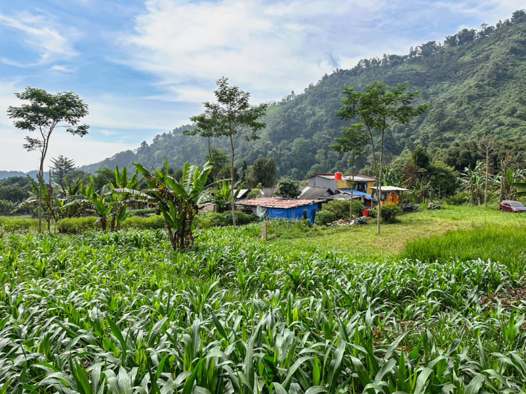 bromo-volcan-java-indonesie-ien-famille-9